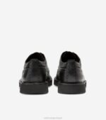 preto calçados 8Z8F389 homens Cole Haan clássicos americanos longwing oxford - Image 4